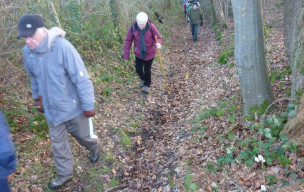 Marche du mercredi 04 Février 2015 à Saint george du vievre
